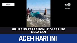 Hiu Paus Tersangkut di Jaring Nelayan | Berita Aceh Hari Ini