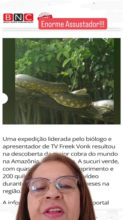Ilha brasileira tem 2ª maior concentração de cobras no mundo