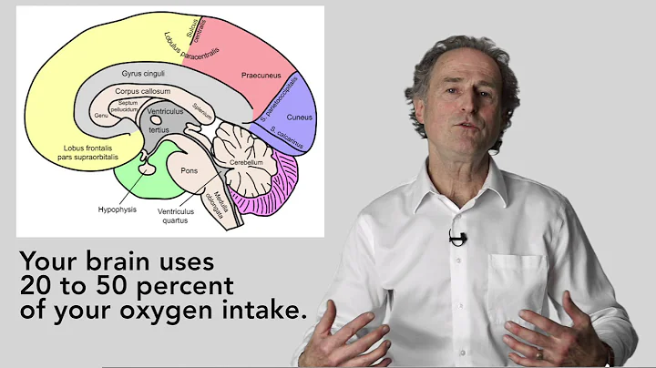 Roger Anunsen "The Aging Mind: Brain Breaks (Part 1 of 2)"