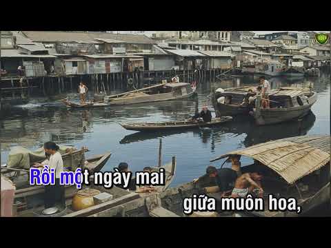 Video Chuyến đi về sáng - Giang Tử (có lời bài hát) | Hoàng... - youtube