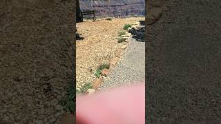 North Rim