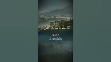 إِنَّ ٱلۡإِنسَٰنَ لِرَبِّهِۦ لَكَنُودٞ|القارىء عبدالصاحب #قران_كريم #تلاوة_خاشعة #قرآن  #عبد_الصاحب