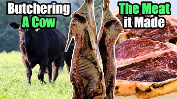 Butchering a Grass-fed Beef Cow & How Much Meat We Ended up With