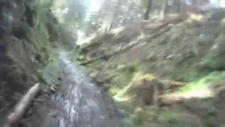DALBY FOREST MARCH 2012
