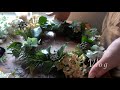 花材費0円。針金ハンガーで作るクリスマスリース。Making a Christmas wreath with all natural ingredients no plastic