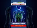 How to Detox the Lymphatic System?