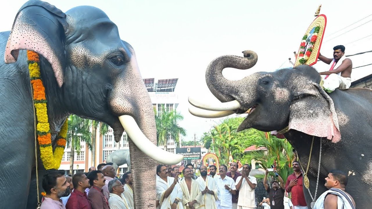 ഗജരാജൻ ഗുരുവായൂർ കേശവന്  സ്മരണാഞ്ചലി| അഭിവാദ്യമേകി കൊമ്പൻ ഇന്ദ്രസെൻ