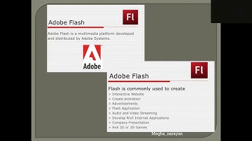 Class 7, Computer, Chapter 10 by Megha Narayan