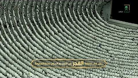 ' سورة آل عمران  ٣٣ - ٥١ ' الشيخ #ياسر_الدوسري  صلاة الفجر  ٢٠-١-١٤٤٦ هـ