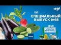 Топ-3 продуктов против отеков | «Полезная ПРОГРАММА». Специальный выпуск — 29.05.2020