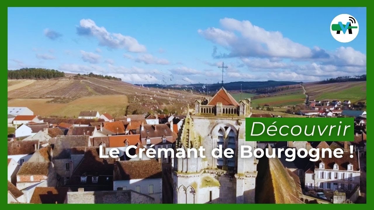 Crémant de Bourgogne : histoire, terroirs et cépages des grandes bulles bourguignonnes