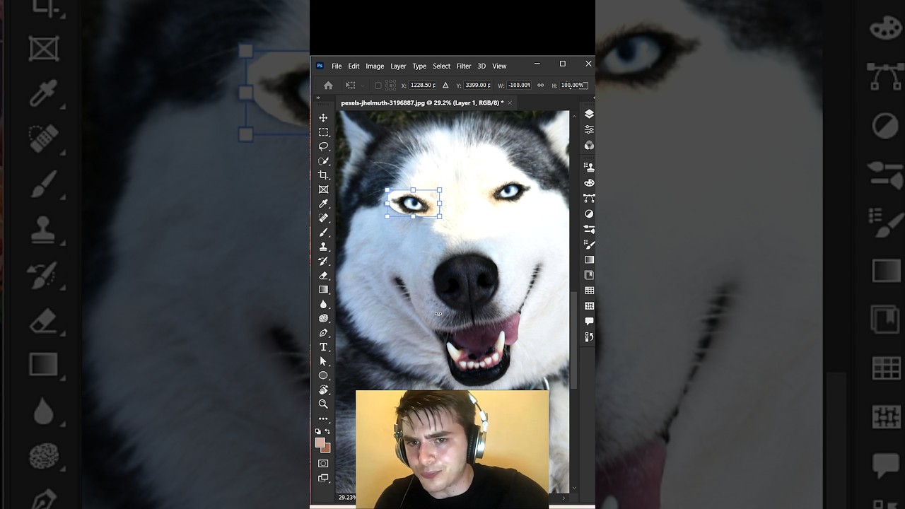 Clone Tool use in Photoshop 