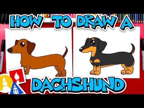 Video: How To Draw A Dachshund