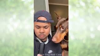 Funniest Animals - Best Of The 2022 Funny Animal Videos - Cutest Animals Ever 3 by 100 PERCENT PETS No views 1 year ago 2 minutes, 1 second