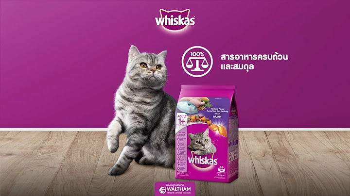 WHISKAS วิสกัส อาหารแมว ชนิดแห้ง แบบเม็ด สำหรับแมวโตอายุ 1 ปีขึ้นไป