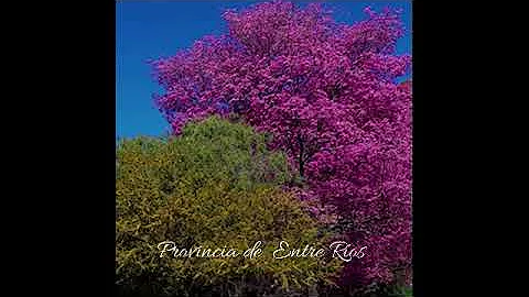 Como é o clima nas estações do ano na Argentina?