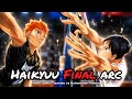 MSBY Black Jackals vs Schweiden Adlers, From First Serve to Match Point! Hinata&rsquo;s Return! Haikyuu