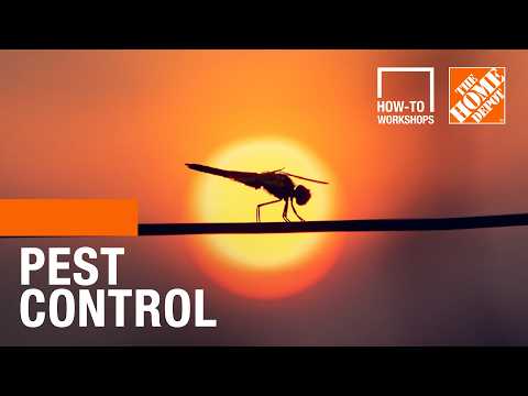 How-To Workshops - Pest Control | The Home Depot