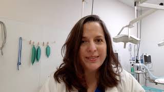 Why Dr. Rastetter Offers Ovary Sparing Spays and Vasectomies