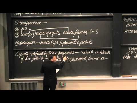 MIT: Lecture 32: Biochemistry: Lipids, Nucleic Acids & DNA