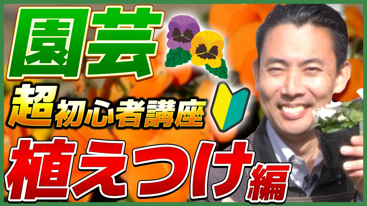 育て方がわかりません Information on starting gardening! Explaining the points you