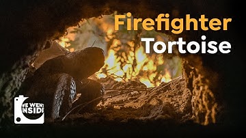 We Went Inside a Turtle Burrow I This Turtle Saves 350 Species From Wildfires