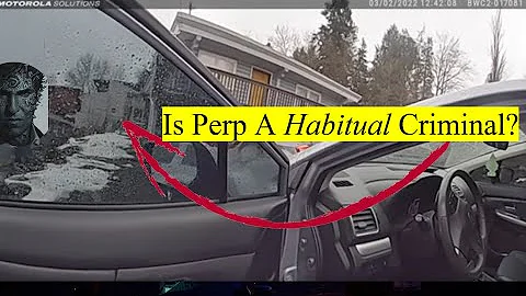 Idaho Murders: Is the Wolf a RECIDIVIST?