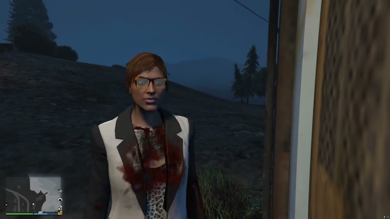 Dana takes a load of buckshot to the chest for a few crummy dollars. Gang Attack. GTAV GTA5