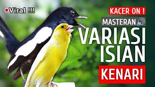 🔴 [ID] Viral!!! - Masteran Kacer Gacor - Variasi isian Kenari | Suara Burung Kacer Materi isian‼️