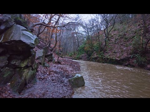 Rain Walk, Knypersley Reservoir and the Warder's Tower, English Countryside 4K