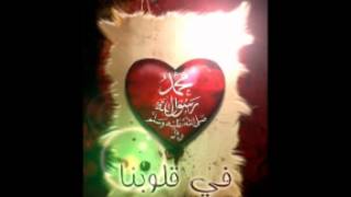 المنشد ملا حسين مولد الشريف