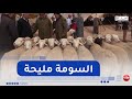 تيارت مربو المواشي يستبشرون خيرا بالتساقطات المطرية الأخيرة تيارت مربو المواشي يستبشرون خيرا بالتساقطات المطرية الأخيرة
