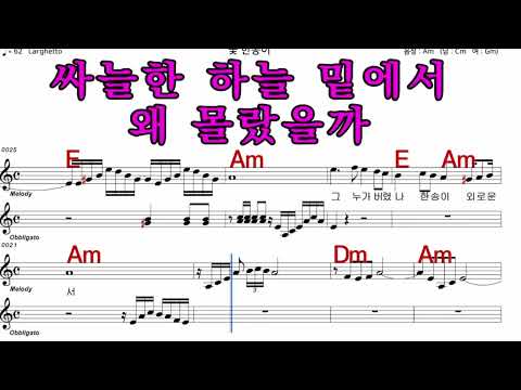 꽃 한송이 이미자  가수처럼 엠알로 노래하기 여 원키 Am