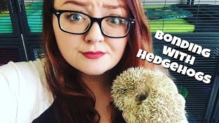 Hedgehog Care: Bonding Tips & Tricks