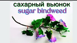 Как сделать вьюн из мастики/Sugar bindweed