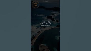 #عبدالرحمن_مسعد  ||  تلاوة خاشعة #اكسبلور