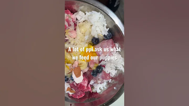 How to feed ur bully puppy #xlbully #xlamericanbully #puppy #bullybreed #rawfeed #raw #rawfoods #xl