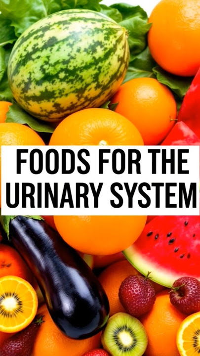 Top 7 Foods For Kidney & Urinary Health #facts