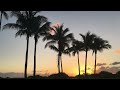 The Miami Open - Key Biscayne Vibes and Memories