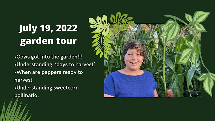 RuthAnn's July 19 Garden Tour