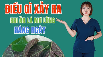 ĐIỀU GÌ XẢY RA KHI ĂN LÁ MƠ LÔNG HÀNG NGÀY | BÁC SĨ HOA
