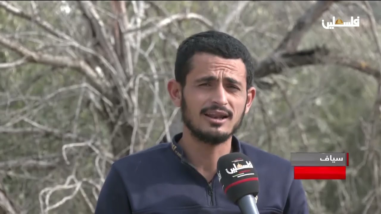 الاحتلال يستهدف أراضي المواطنين في قراوة بني حسان غرب سلفيت لصالح الاستيطان