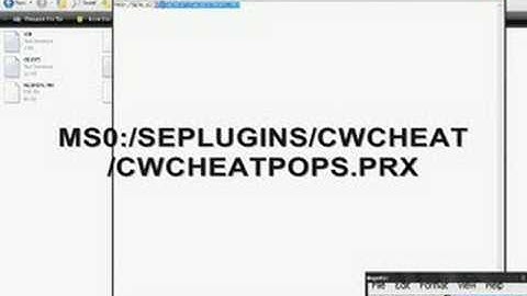 [HaxerDax Video] How to install CWCheat.