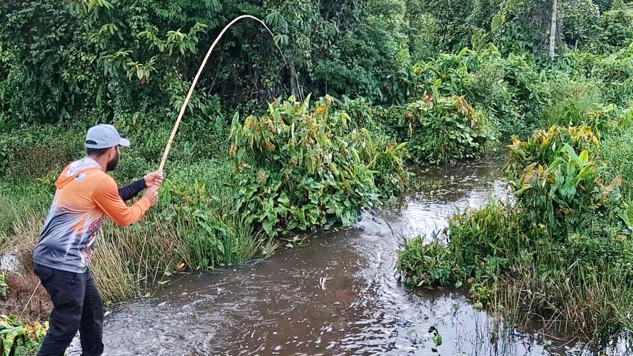 PEIXE ELÉTRICO , JAÚ , SURUBIN E TRAÍRA GIGANTE , NESSE LUGAR AONDE VOÇÊ PARA PEGA PEIXE./PESCARIA.