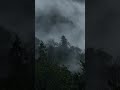 Mountain Forest Wind & Bird Sounds | No Sudden Sounds | Calming White Noise