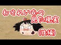 【ゆ虐】わされいむの見た現実（後編）
