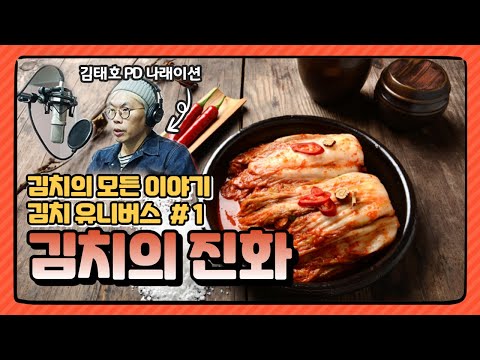 Kimchi Universe - Episode 1. The Beginning of Evolution