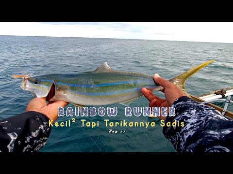 Video: Dalam kondisi berangin memancing?