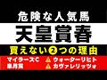 #2040【危険な人気馬 2027　天皇賞春】アドマイヤテラなど人気上位５頭の血統と前走の考察 買えない２つの理由 にしちゃんねる 馬Tube