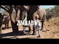 Zimbabwe Travel Vlog! #FroGirlAdventures